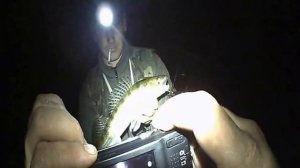 Рыбалка на Москва-река. 25.07.14