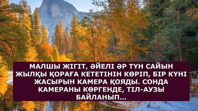 Ресейлік әнші Максимнің порно видеосы Писканы жақыннан ысқылау