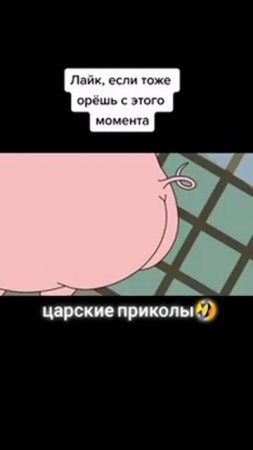 Подозрительная сова. ДУМАЙ КАК ПЕТУХ