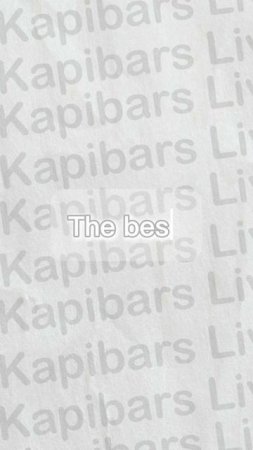 Капибарас лайв!