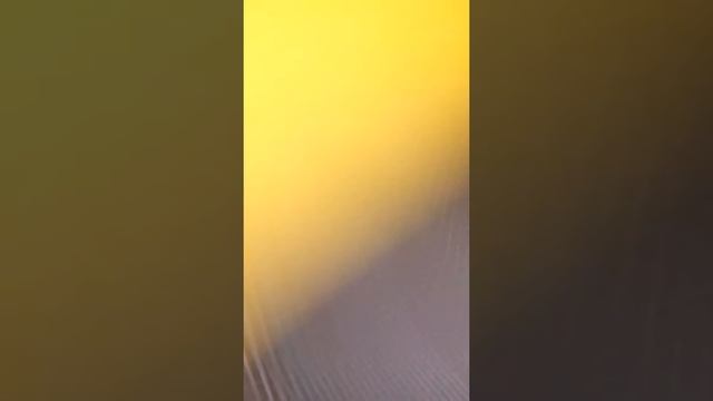 Батутный парк X Team смотреть онлайн