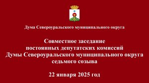 Совместное заседание постоянных депутатских комиссий Думы 22 января 2025 года