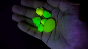 365nm vs 395nm UV | 365nm and 395nm Differences | Things You Must Know Before Buying A UV Light