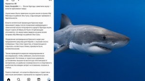 В Египте в районе Хургада снова заметили акулу 🦈#египет#акула2024