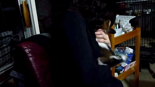 21/08/10 Milly and Carrie #3 смотреть онлайн