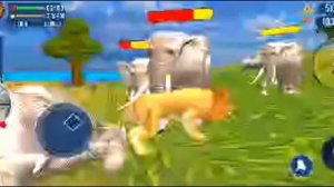 Ultimate Lion Simulator 2, Lion VS Elephant, leopard, Cheetah and ...