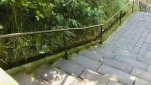 007 красивое утро в Японии