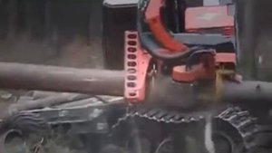 Головки Sp Maskiner 761 LF в TimberPro 830