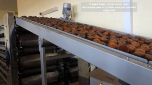 Ярусные конвейера охлаждения и сушки кондитерских изделий (пряники, сахарное печенье и т.п) СУРА