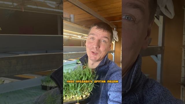 Как из 150 рублей сделать 3500