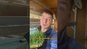 Как из 150 рублей сделать 3500