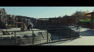 Secret Zoo / 해치지않아 (2020) - Scene - Animal Costume Training (4K AI Upscale)(English Captions)