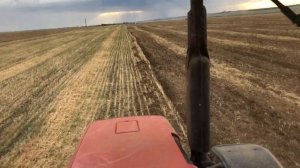 МТЗ 826 + Дисковая борона ПАЛЛАДА 3200