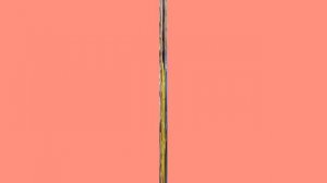 Поздравляем наших Татьян с Екатериной Наумовой 25.01.25.