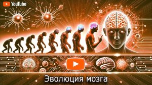 Эволюция мозга.