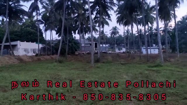 5 acre 40 cent coconut farm land sale in anaimalai Pollachi смотреть онлайн