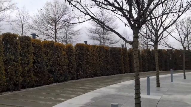 Парк Галицкого в Краснодаре #Анапасегодня смотреть онлайн