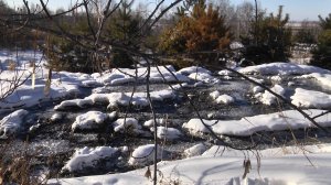 В курганский Тобол могут попасть канализационные воды