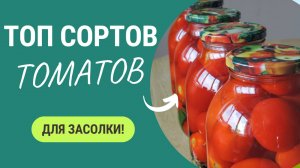 Сочные, Плотные, Идеальные: Лучшие Томаты для Консервации  🍅👌