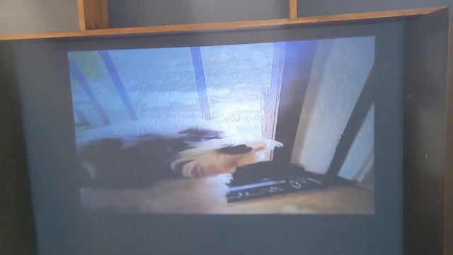 TMY Projectors | Our Point Of View смотреть онлайн