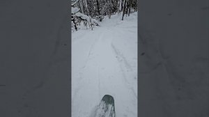 Губаха Катание по лесу Сноуборд