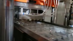 DB-42/68 Full Automatic 3/4-station Thermoforming Machine