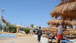 Доброе утро, аква блю)  (Albatros Aqua Blu Sharm 4*)