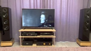 Shena? -Катастрофически /Arslab Classic/  Audioinstrument VIVO