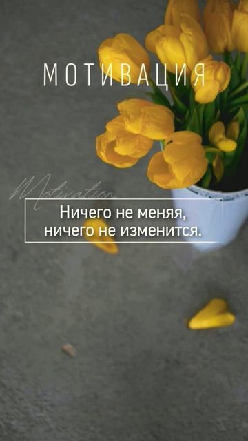 #цитаты #мудрость #психология #жизнь #отношения #саморазвитие #перемены #мотивация смотреть онлайн