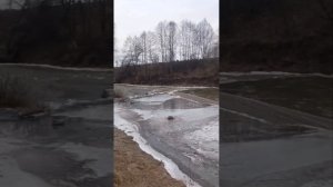 1000207904.mp4 
23.01.25 Утро и вечер в Тарусе.