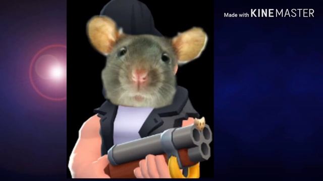 Песня про Brawl Stars! #Дедзырь #Эрбисмотри #Михазырь смотреть онлайн