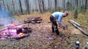 Дед ворон обживается с товарищами в лесу