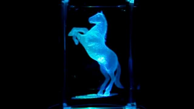 3D Laser-Kristall beleuchtet Pferd смотреть онлайн