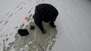 Бешеный клев щуки 23-24 января 2025 р. Нерль