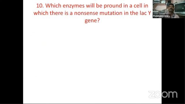 BIO TECHNOLOGY, BY P KUMAR ,JL, SIDDIPET. смотреть онлайн