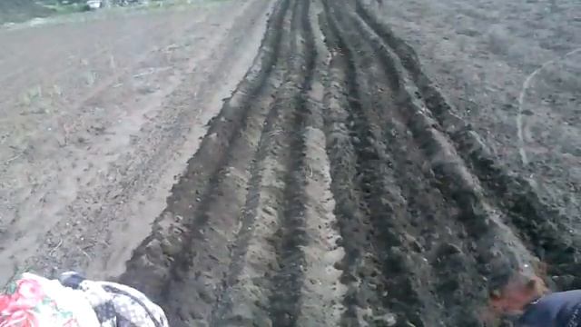 Картошка посадка . смотреть онлайн