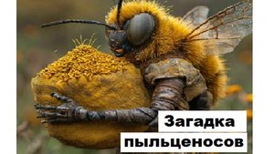 Загадочное поведение пчёл-пыльценосов.