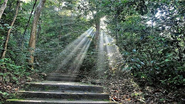 Virtual Retreat - 35|07|Sokasallaharana Sutta|Most Ven Dhammajiva Maha Thero смотреть онлайн