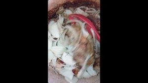 ЧАХОБИЛИ ИЗ КРОЛИКА##ՆԱՊԱՍՏԱԿԻ ՉԱԽՈԲԻԼԻ