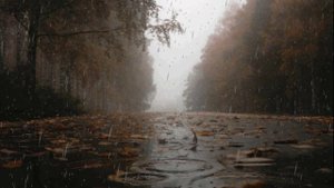 Его женщина