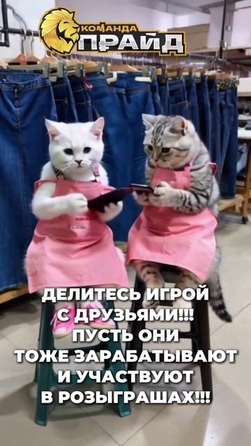 Всем привет 👋 игра GAMEBOX