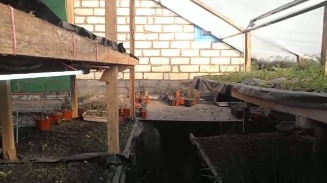 ТЕПЛИЦА ТЕРМОС 002 смотреть онлайн