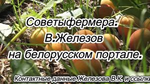 Советы фермера.  В.Железов на белорусском портале.