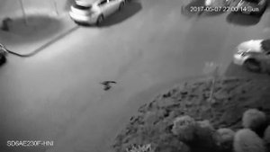 Autotracking функцията при камери за наблюдение Dahua