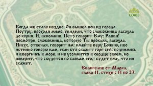 Евангелие 28 января. И сказал ей Иисус: отныне да не вкушает никто от тебя плода вовек!