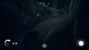 Дрессировка Гиен и Лошадей ∎ Ancestors The Humankind Odyssey прохождение #21