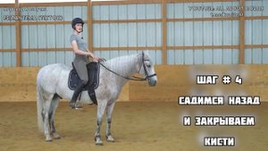 Остановка лошади седалищем. Как научить остановке не от повода
