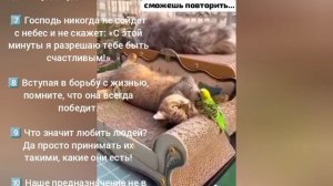 Чем больше любви, мудрости, красоты, доброты вы откроете в самом себе, тем больше.Елена Митрофанова.