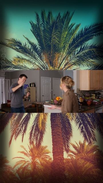 #каникулы #семейка смотреть онлайн