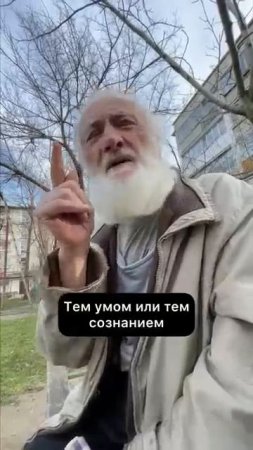 document_5341576527395957966